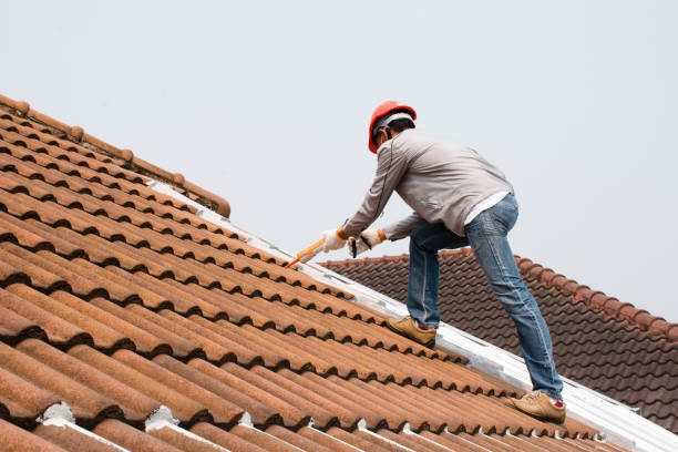 Best Chimney Flashing Repair  in Nevada, TX