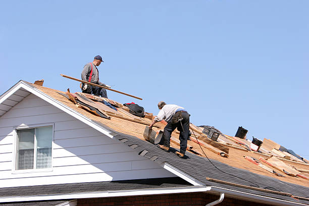 Best Metal Roofing Installation  in Nevada, TX