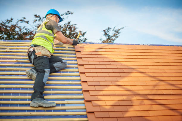 Best Skylight Installation and Repair  in Nevada, TX