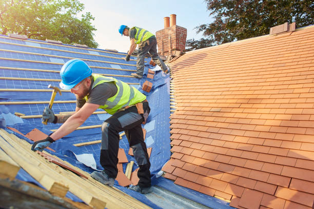 Best Solar Panel Roofing Installation  in Nevada, TX